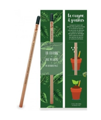 Crayon à papier à planter en fin d'utilisation