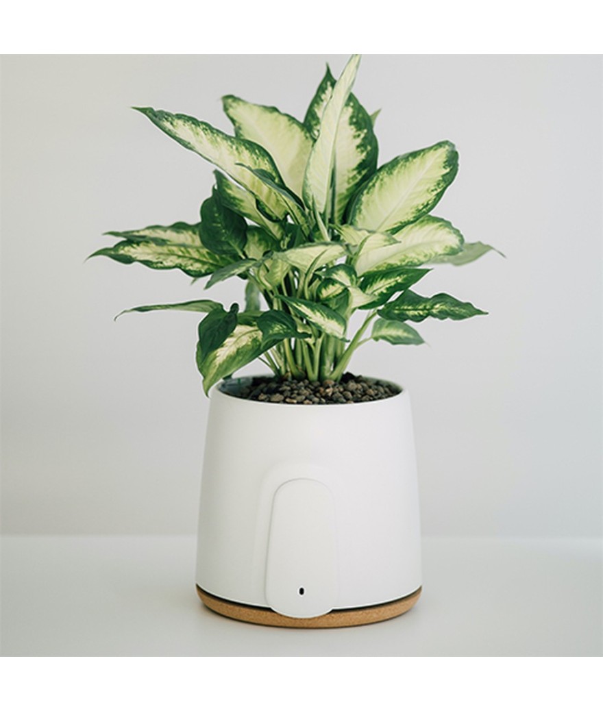 Purificateur d'air individuel personnalisé