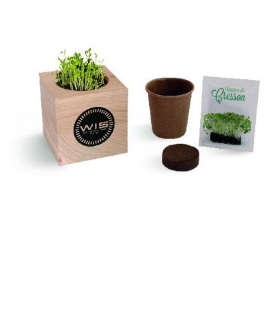 Cube bois avec graines