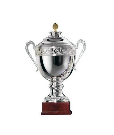 Coupe métal argenté