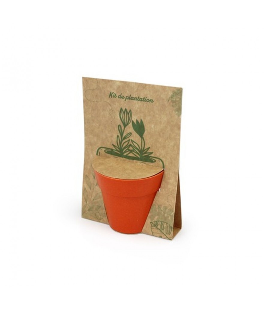 Carte pot bambou