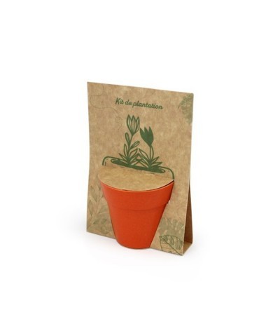 Carte pot bambou