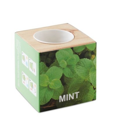 Pot en bois avec graine de menthe