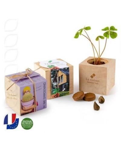 Mini kit de plantation en bois naturel