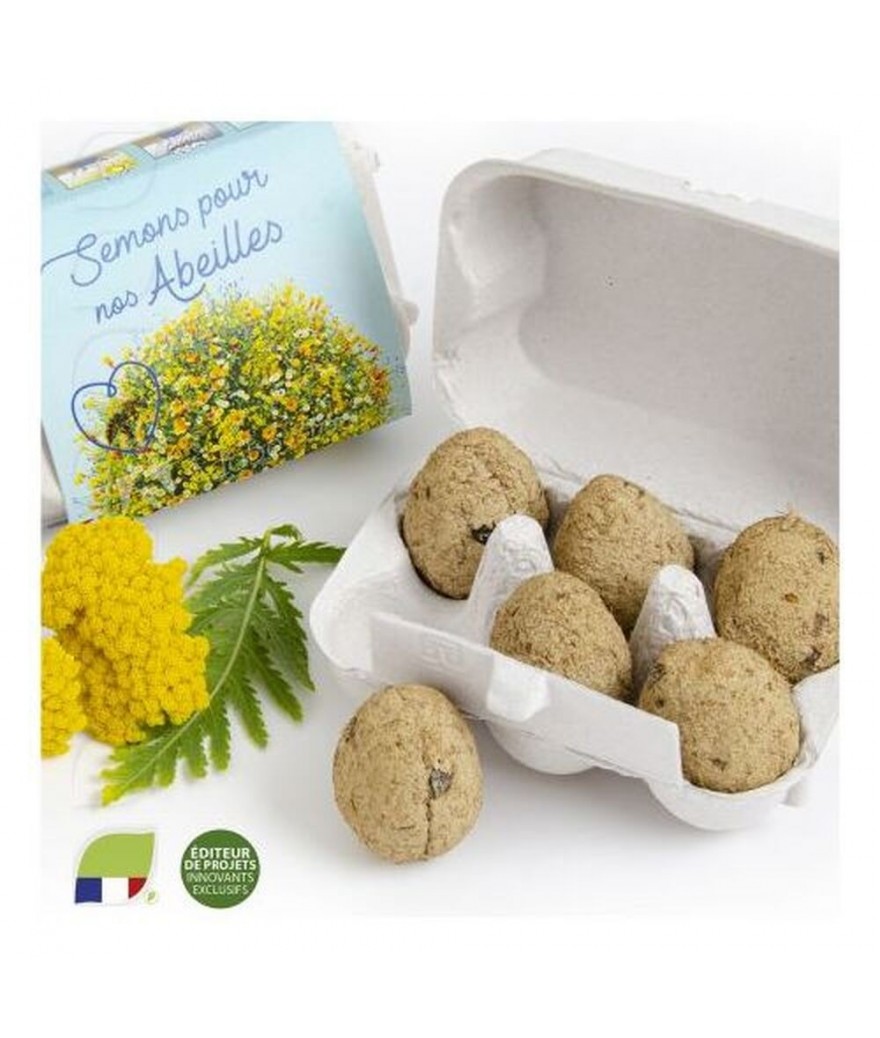 Boite à oeufs seed bomb