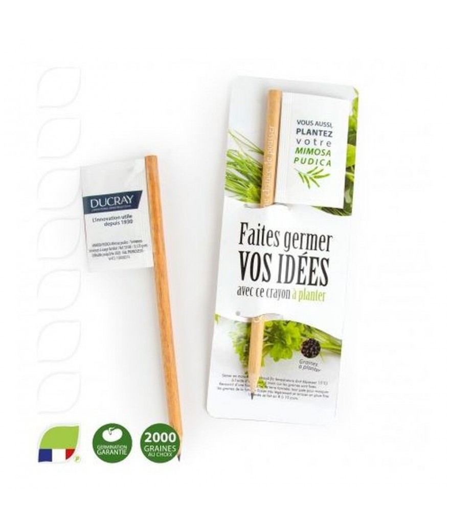 Crayon en bois drapeau sous étui