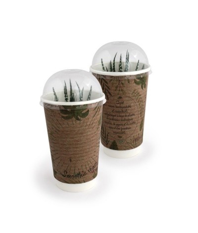 Plante dépolluante - Made in France