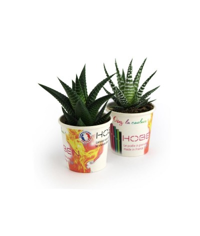 Pot carton plante - Made in France