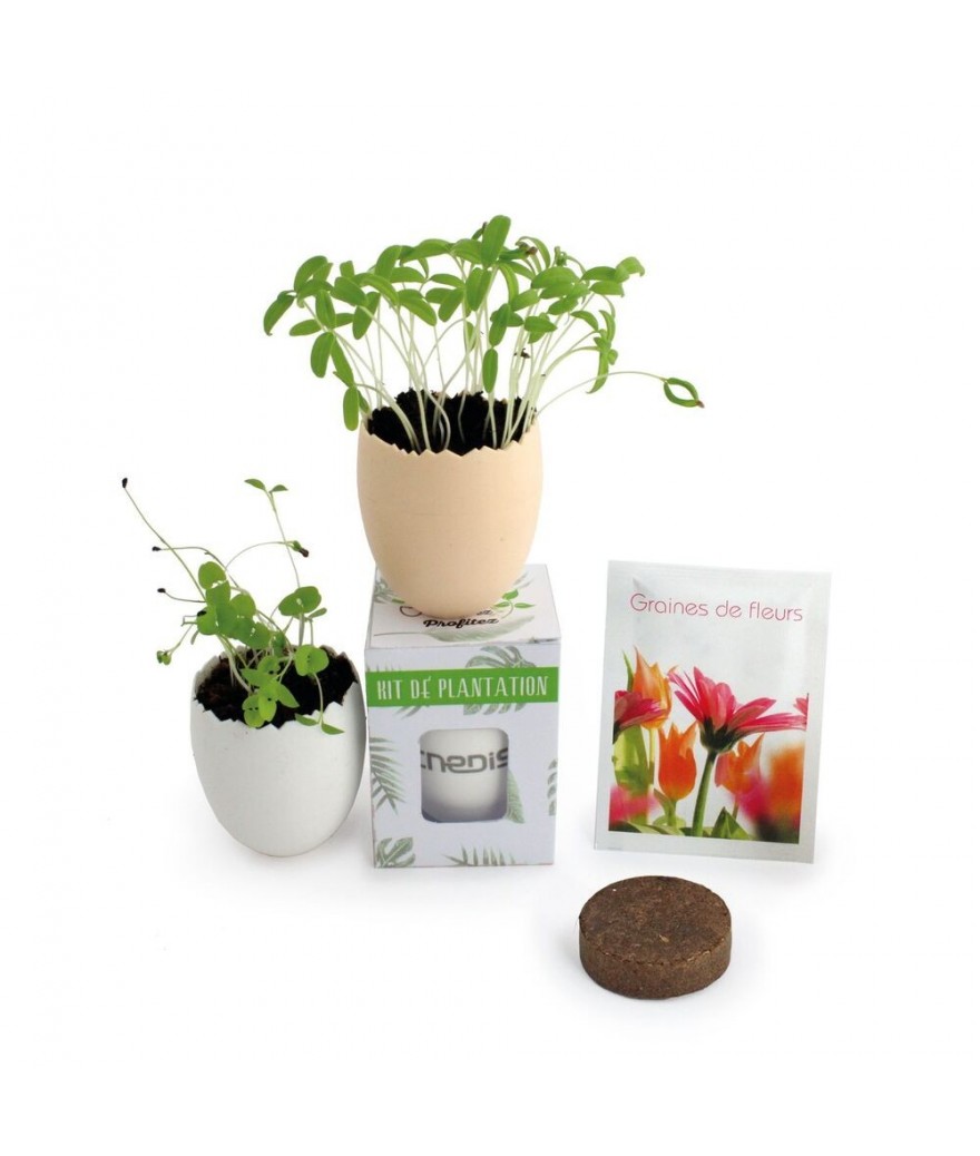 Oeuf à graines recyclé & recyclable