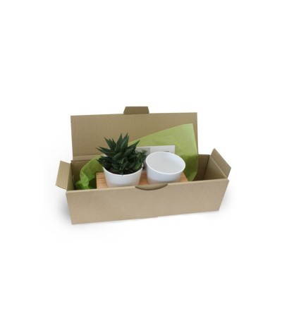 Plateau Duo aromatiques