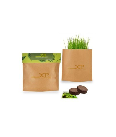 Pop-up de plantation