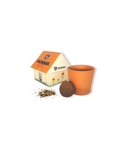 Maisonnette développement durable