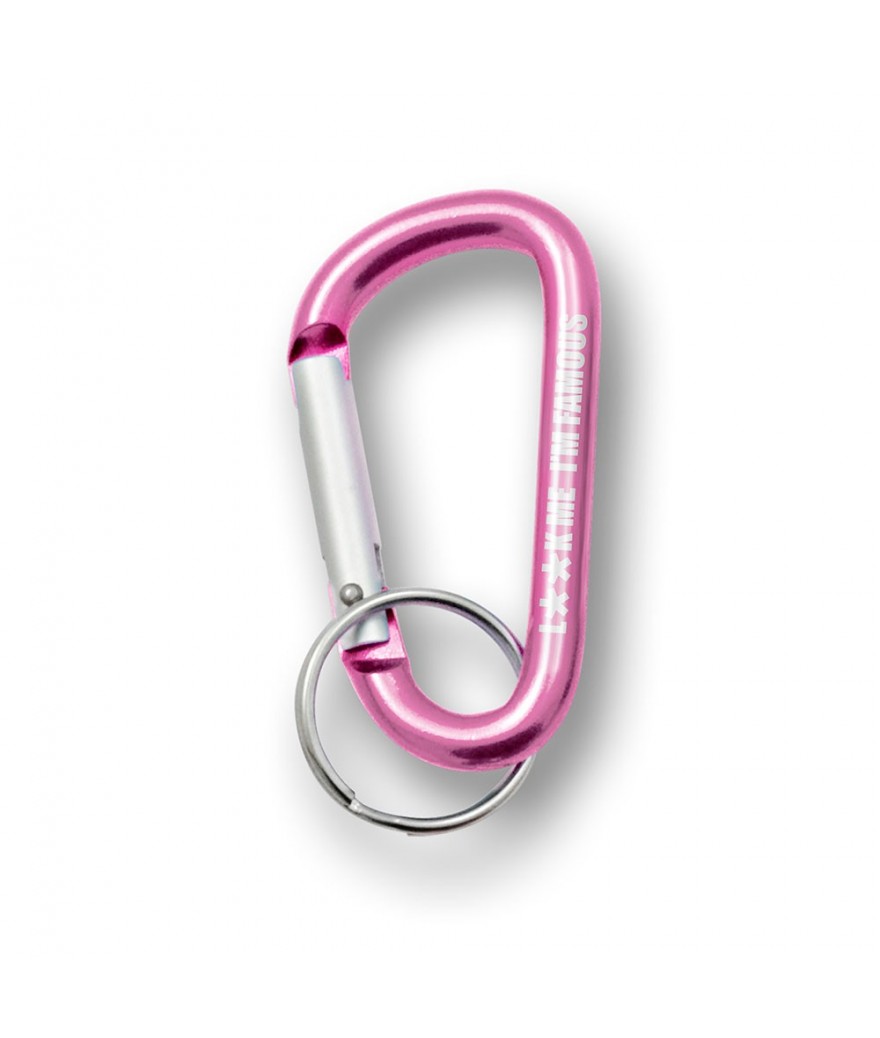 HUAZIZ 55 Mousquetons En Aluminium - Porte-clés Miniature Pour Camping, Randonnée, Sacs